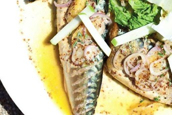 Mackerel