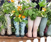 Veg growing in wellies