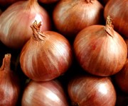 shallot