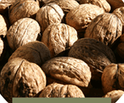 Walnuts